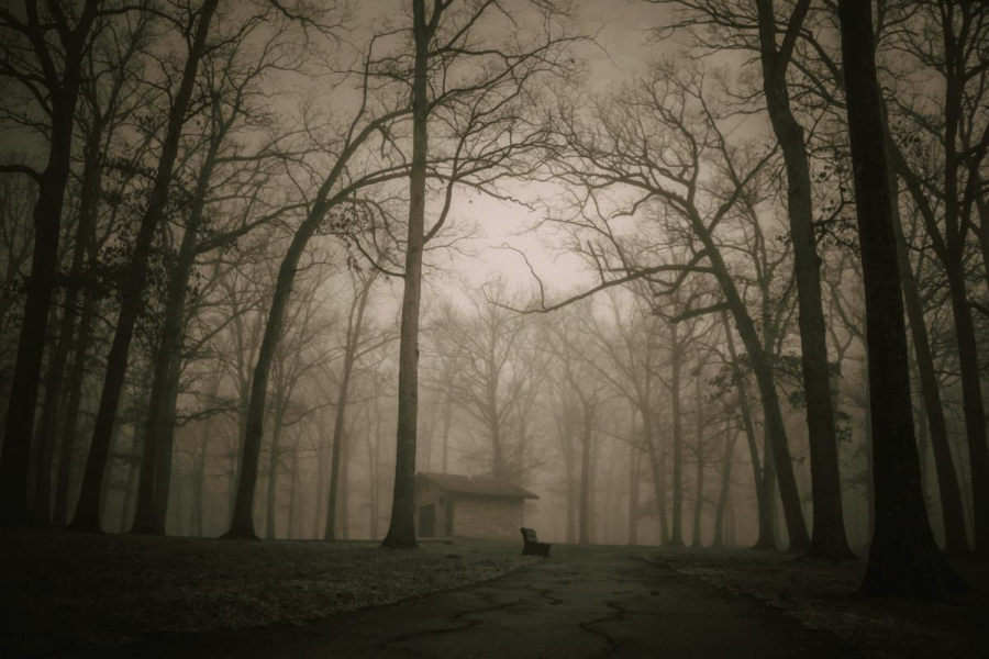 Agenda Austin. Ghost Walk Tour