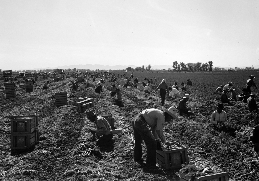 Los Rostros Olvidados de la Inmigración Mexoamericana